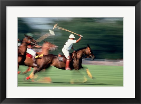 Framed Polo - running horses Print