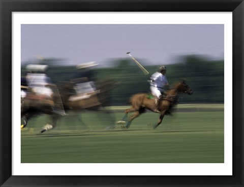 Framed Polo match in progress Print