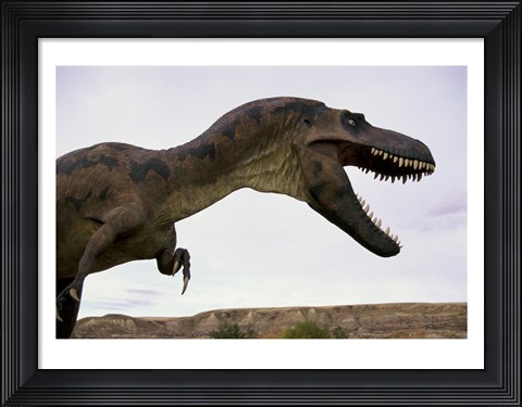Framed Tyrannosaurus Rex, Royal Tyrrell Museum, Drumheller, Alberta, Canada Print