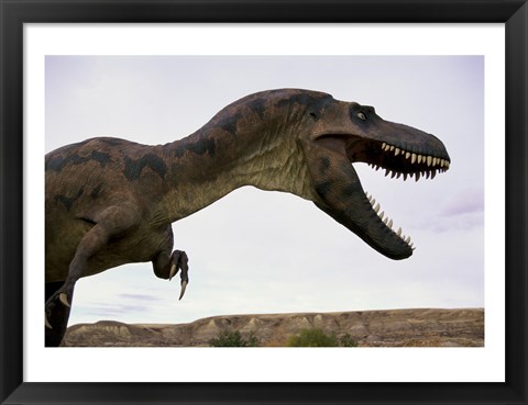 Framed Tyrannosaurus Rex, Royal Tyrrell Museum, Drumheller, Alberta, Canada Print