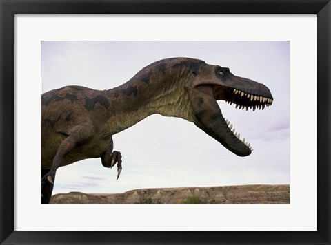 Framed Tyrannosaurus Rex, Royal Tyrrell Museum, Drumheller, Alberta, Canada Print