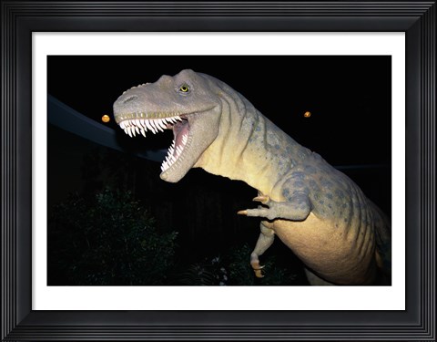 Framed Albertosaurus, Royal Tyrrell Museum, Drumheller, Alberta, Canada Print