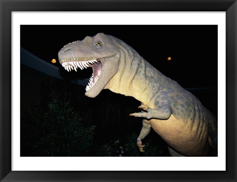 Framed Albertosaurus, Royal Tyrrell Museum, Drumheller, Alberta, Canada Print