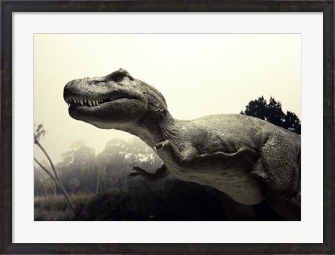 Framed Close-up of a Tyrannosaurus Rex Print