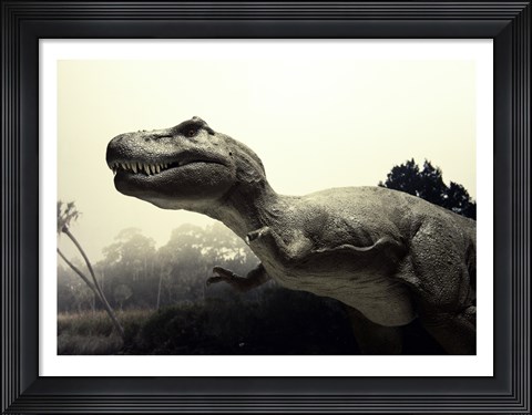 Framed Close-up of a Tyrannosaurus Rex Print