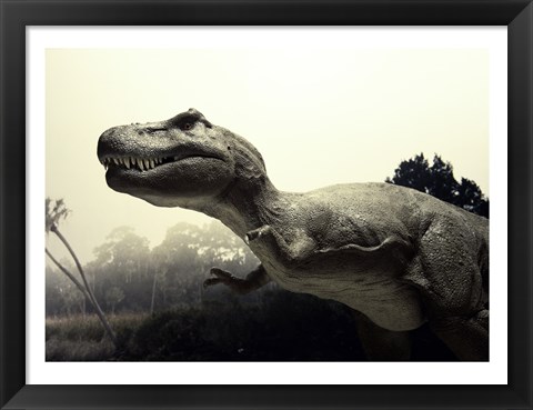 Framed Close-up of a Tyrannosaurus Rex Print