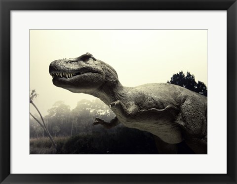 Framed Close-up of a Tyrannosaurus Rex Print