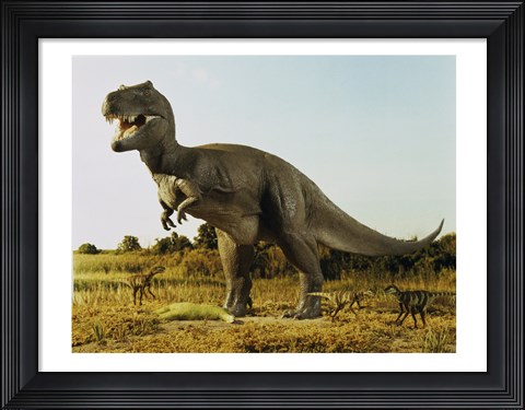 Framed Tyrannosaur Stealing The Kill Thescelosaur From Dromeosaurs Print