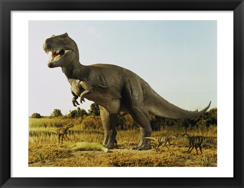 Framed Tyrannosaur Stealing The Kill Thescelosaur From Dromeosaurs Print