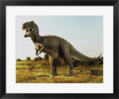 Framed Tyrannosaur Stealing The Kill Thescelosaur From Dromeosaurs Print