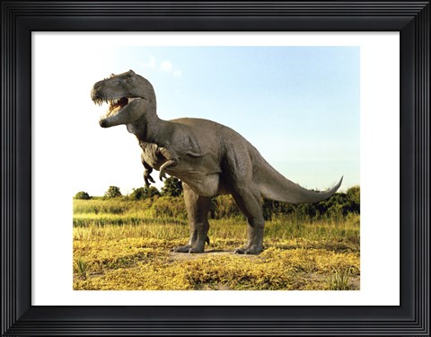 Framed Close-up of a tyrannosaurus rex standing in a field Print