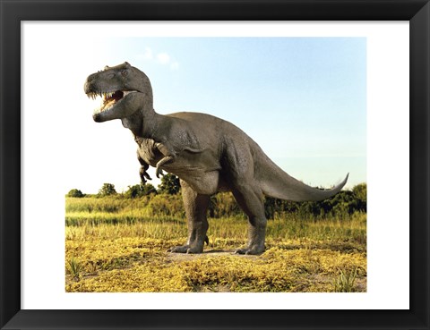 Framed Close-up of a tyrannosaurus rex standing in a field Print