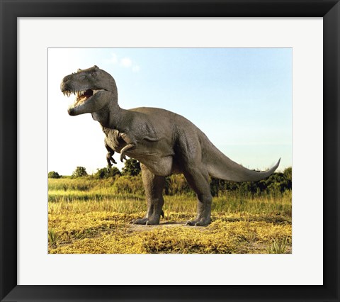 Framed Close-up of a tyrannosaurus rex standing in a field Print