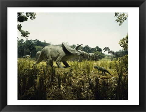 Framed Triceratops with a tyrannosaur and a torosaurus in a forest Print