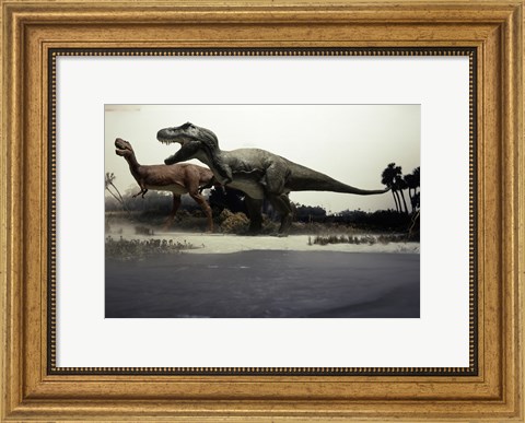 Framed Side profile of a tyrannosaurus rex chasing an albertosaurus Print