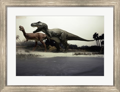 Framed Side profile of a tyrannosaurus rex chasing an albertosaurus Print