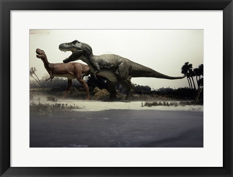 Framed Side profile of a tyrannosaurus rex chasing an albertosaurus Print