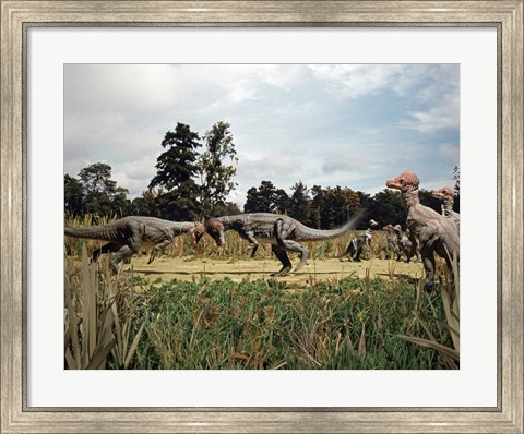 Framed Side profile of two pachycephalosaurus fighting in a forest Print
