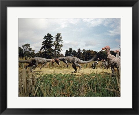 Framed Side profile of two pachycephalosaurus fighting in a forest Print