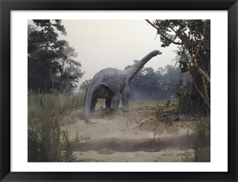 Framed Rear view of an alamosaurus walking in a forest Print