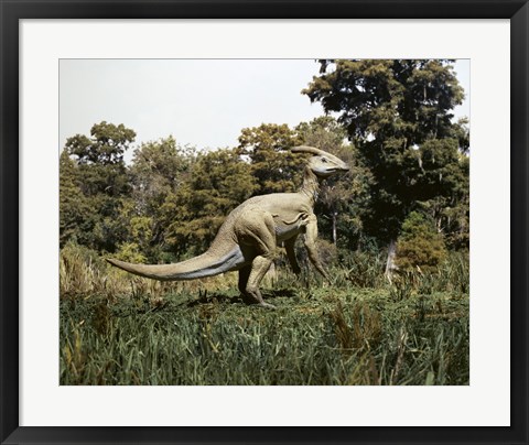 Framed Side profile of a parasaurolophus walking in a forest Print