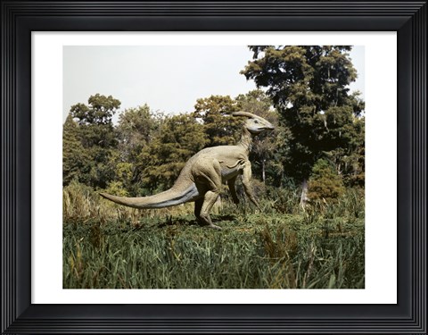 Framed Side profile of a parasaurolophus walking in a forest Print