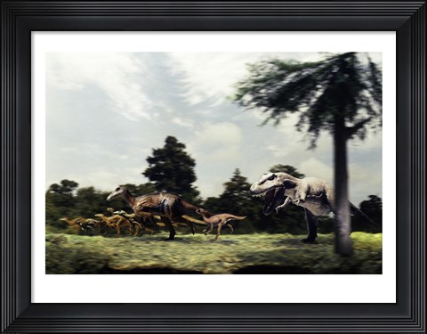 Framed Side profile of a tyrannosaur attacking a group of anatosaurus Print