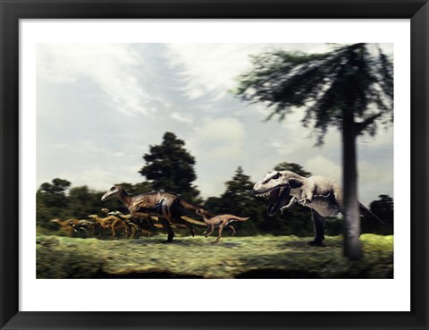 Framed Side profile of a tyrannosaur attacking a group of anatosaurus Print