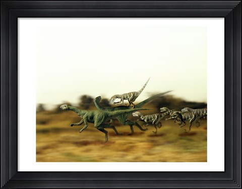 Framed Dromeosaurus Chasing Thescelosaurus Print