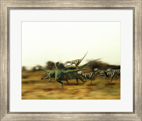 Framed Dromeosaurus Chasing Thescelosaurus Print