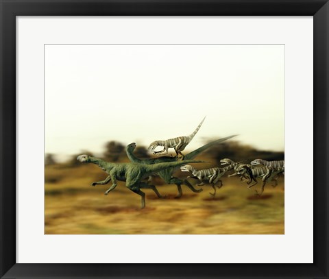 Framed Dromeosaurus Chasing Thescelosaurus Print