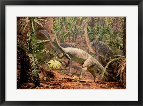 Framed Anchisaurus Dinosaur State Park Connecticut, USA Print