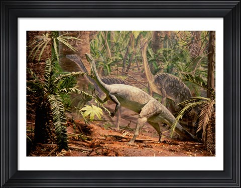 Framed Anchisaurus Dinosaur State Park Connecticut, USA Print