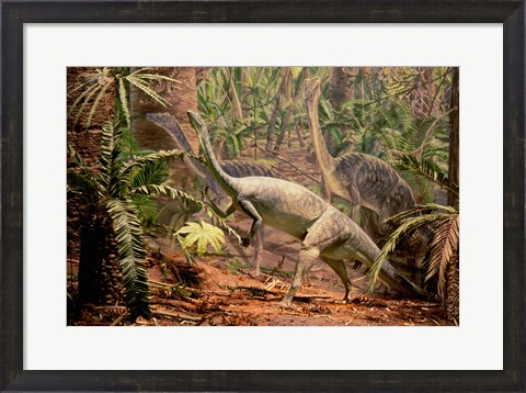 Framed Anchisaurus Dinosaur State Park Connecticut, USA Print