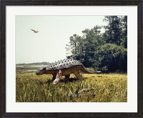 Framed Ankylosaur walking in a field and a pteranodon flying in the sky Print