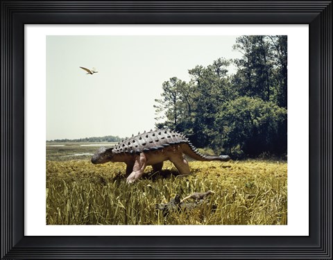 Framed Ankylosaur walking in a field and a pteranodon flying in the sky Print