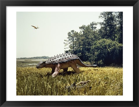 Framed Ankylosaur walking in a field and a pteranodon flying in the sky Print