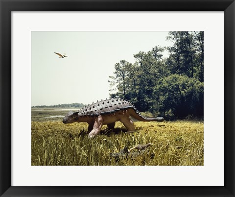 Framed Ankylosaur walking in a field and a pteranodon flying in the sky Print