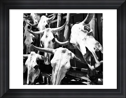 Framed Guardians I Print