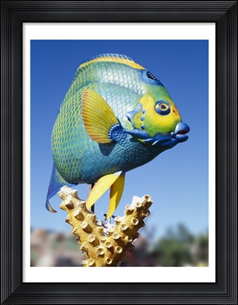 Framed Fish carving, Florida Keys Print