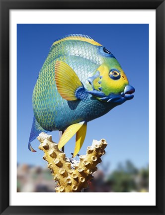 Framed Fish carving, Florida Keys Print