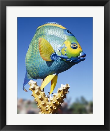 Framed Fish carving, Florida Keys Print