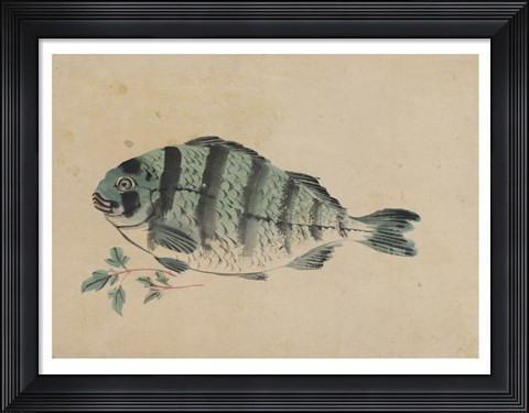 Framed Fish Print
