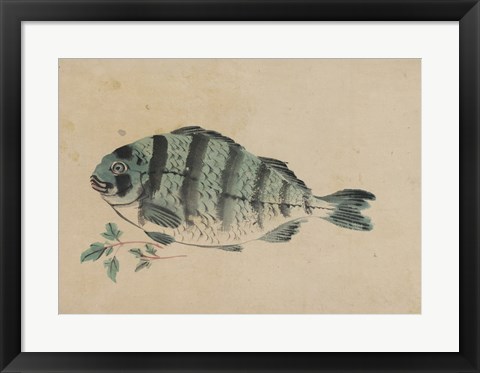 Framed Fish Print