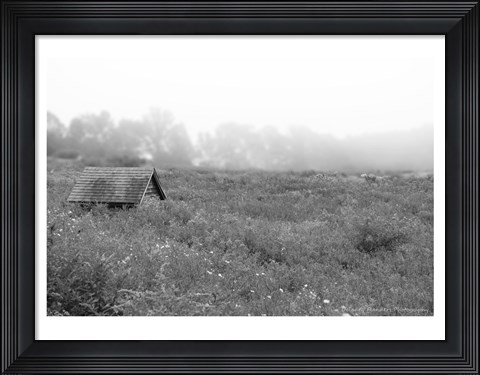 Framed In the Fog Print