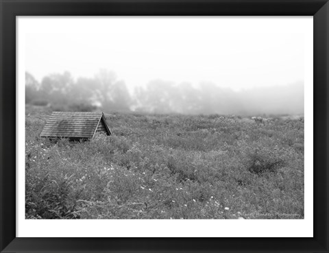 Framed In the Fog Print