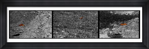 Framed Fight or Flight Print