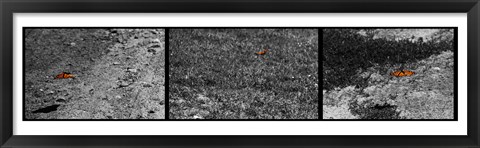 Framed Fight or Flight Print