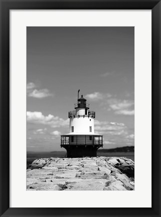 Framed Spring Lake Print