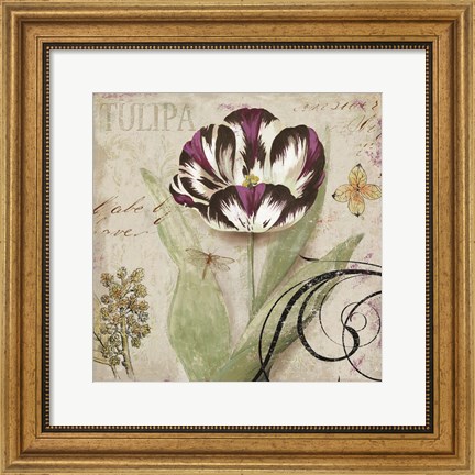 Framed Tulipa II Print